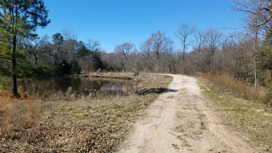 Back Pond in January.gif Back Pond in January.gif